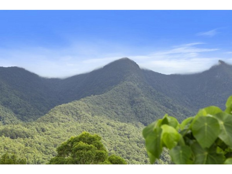 372 Limpinwood Valley Road, Limpinwood NSW 2484