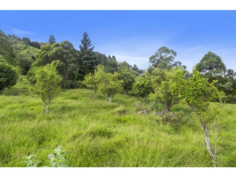 372 Limpinwood Valley Road, Limpinwood NSW 2484