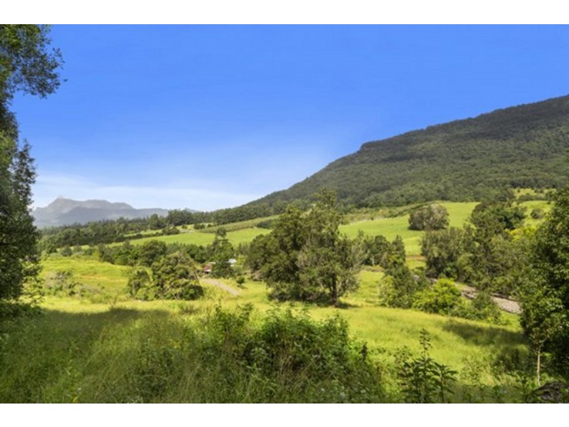 372 Limpinwood Valley Road, Limpinwood NSW 2484