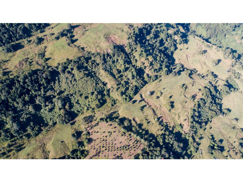 372 Limpinwood Valley Road, Limpinwood NSW 2484