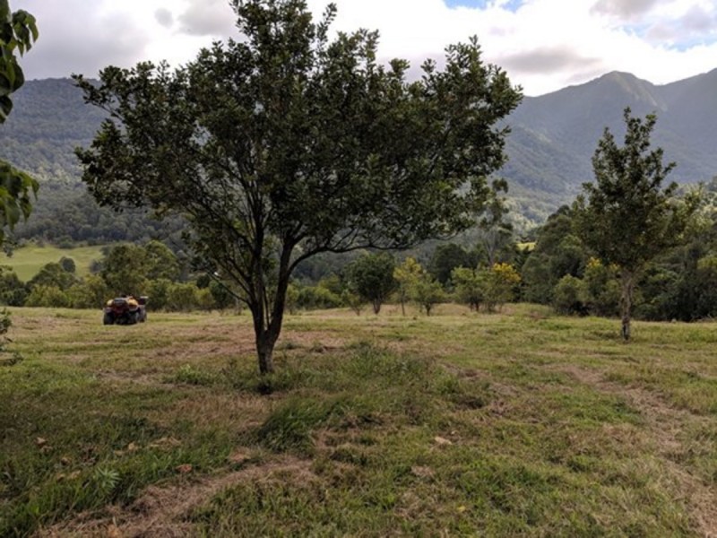 372 Limpinwood Valley Road, Limpinwood NSW 2484