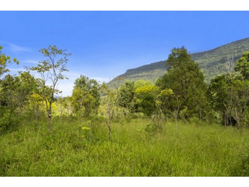 372 Limpinwood Valley Road, Limpinwood NSW 2484