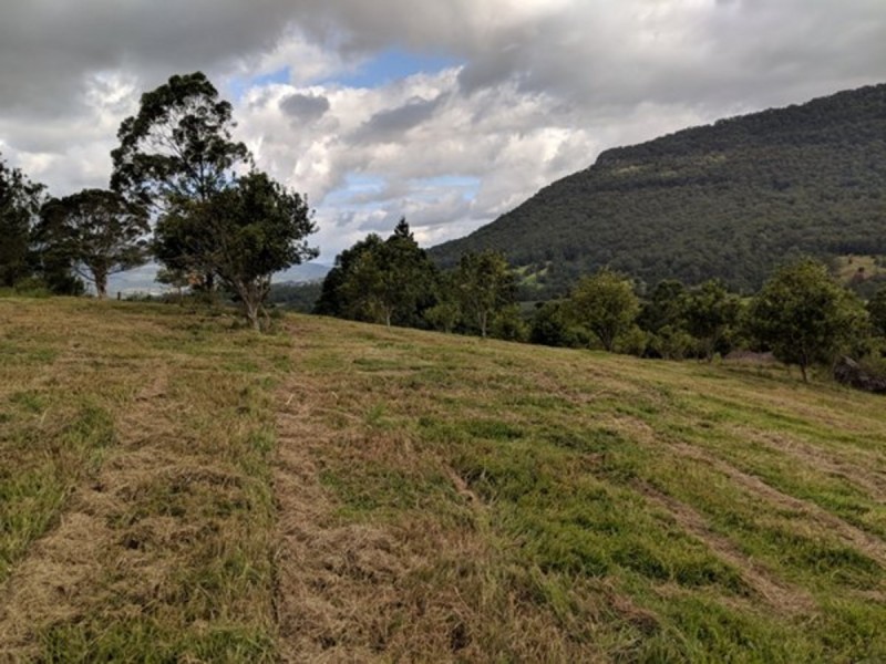 372 Limpinwood Valley Road, Limpinwood NSW 2484