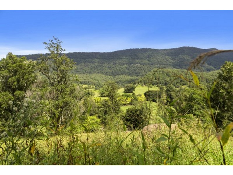 372 Limpinwood Valley Road, Limpinwood NSW 2484