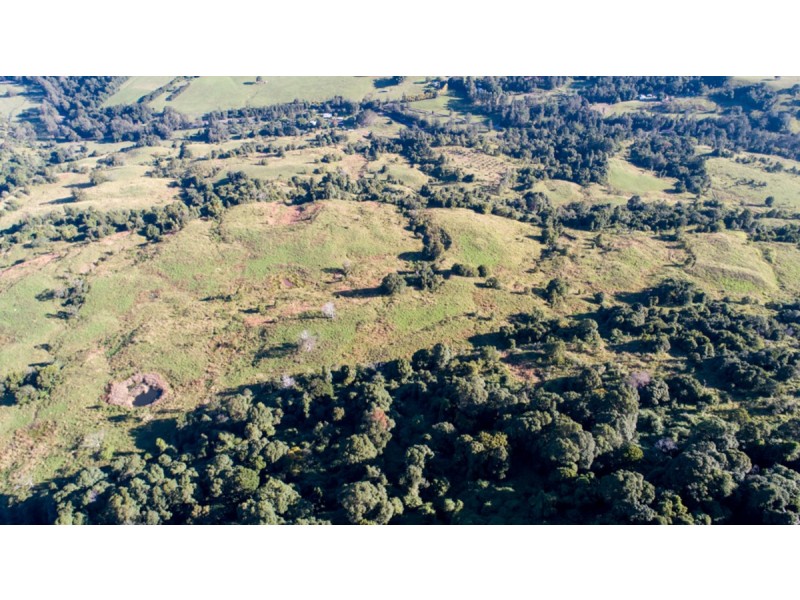 372 Limpinwood Valley Road, Limpinwood NSW 2484