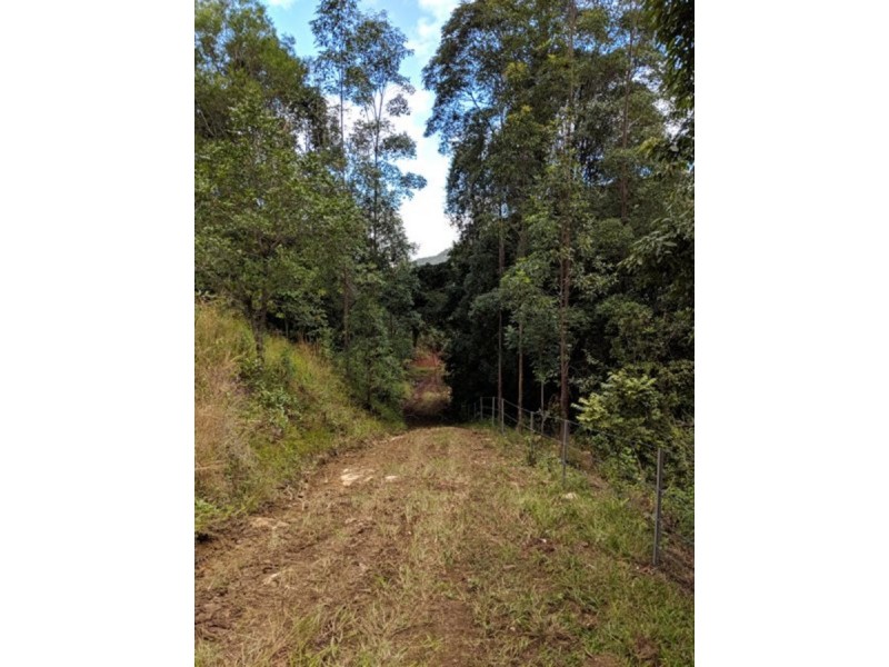 372 Limpinwood Valley Road, Limpinwood NSW 2484