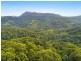 848 Tomewin Mountain Road, Tomewin NSW 2484