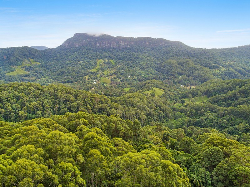 848 Tomewin Mountain Road, Tomewin NSW 2484