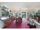 848 Tomewin Mountain Road, Tomewin NSW 2484