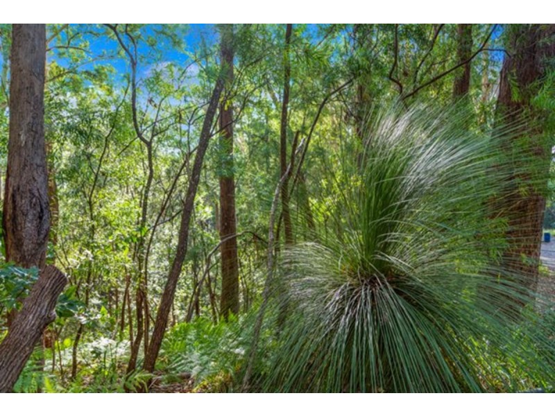 147 The Bloodwoods, Stokers Siding NSW 2484