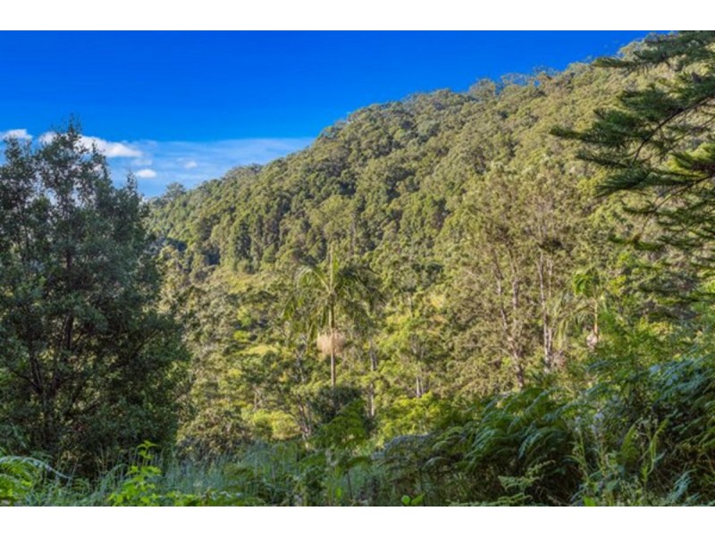 147 The Bloodwoods, Stokers Siding NSW 2484