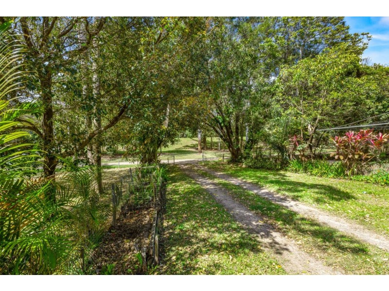 48 Wardrop Street, Murwillumbah NSW 2484