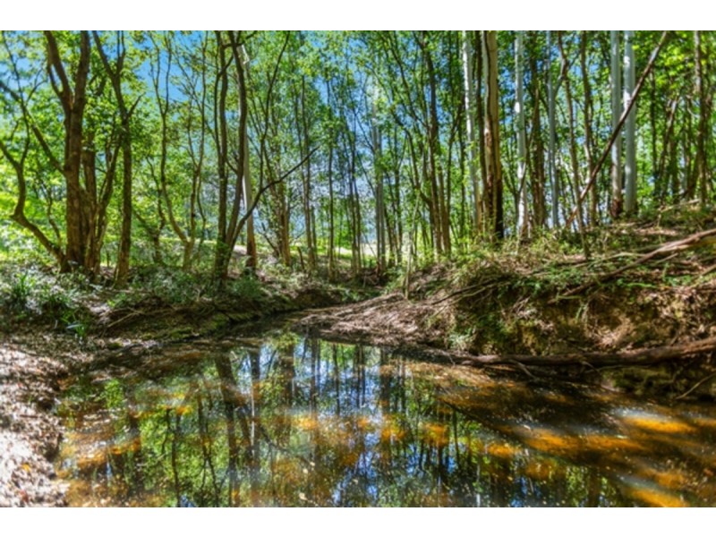 45 Lillian Road, Blue Knob NSW 2480