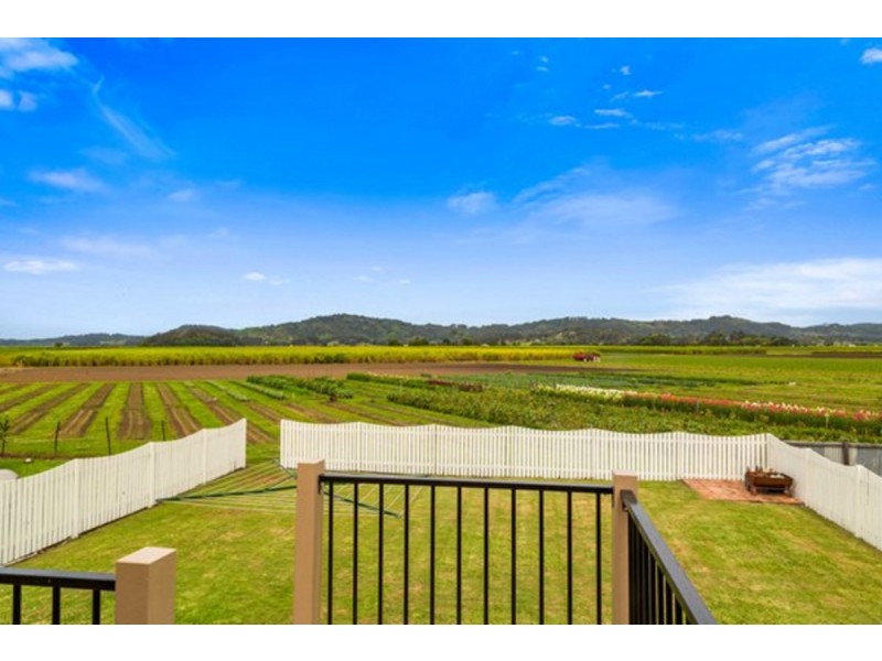 16 Colonial Drive, Condong NSW 2484