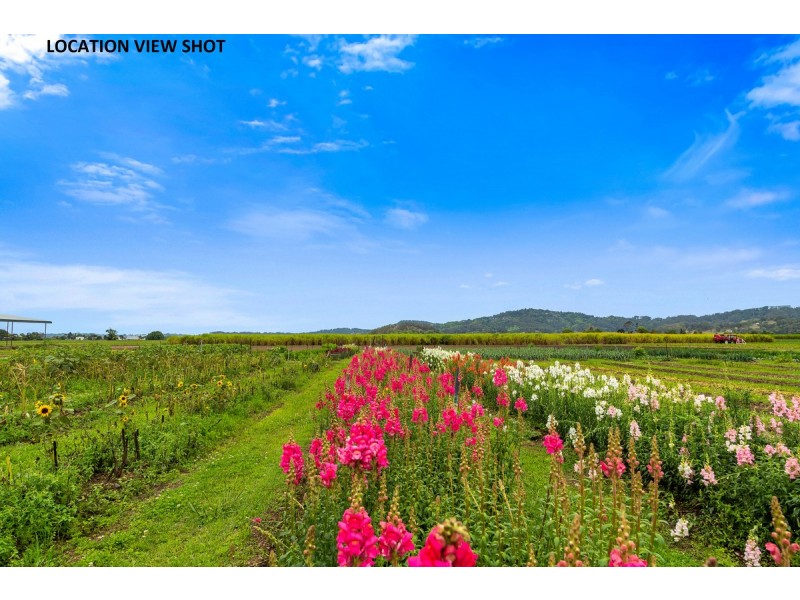 16 Colonial Drive, Condong NSW 2484