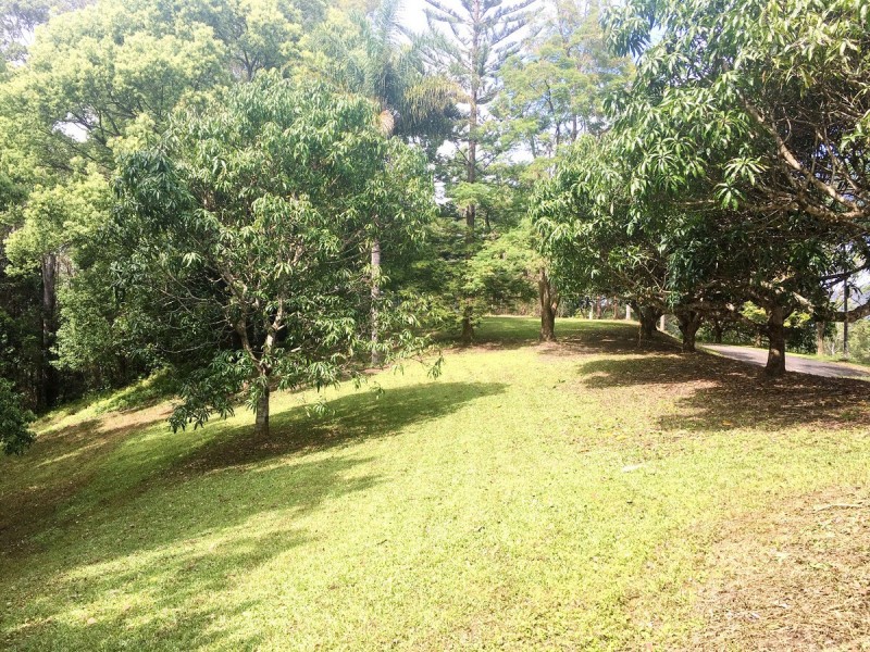 110 Richards Deviation, Dunbible NSW 2484