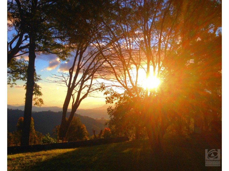 36 Sargents Road, Homeleigh NSW 2474