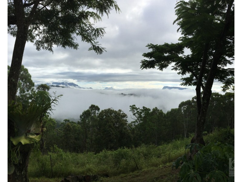 36 Sargents Road, Homeleigh NSW 2474