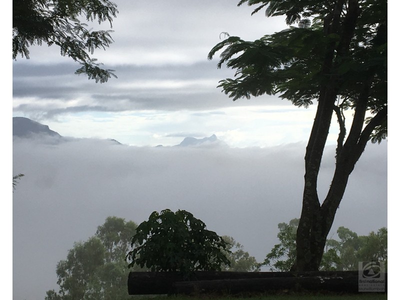 36 Sargents Road, Homeleigh NSW 2474