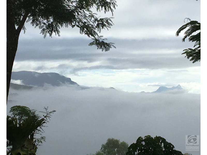 36 Sargents Road, Homeleigh NSW 2474