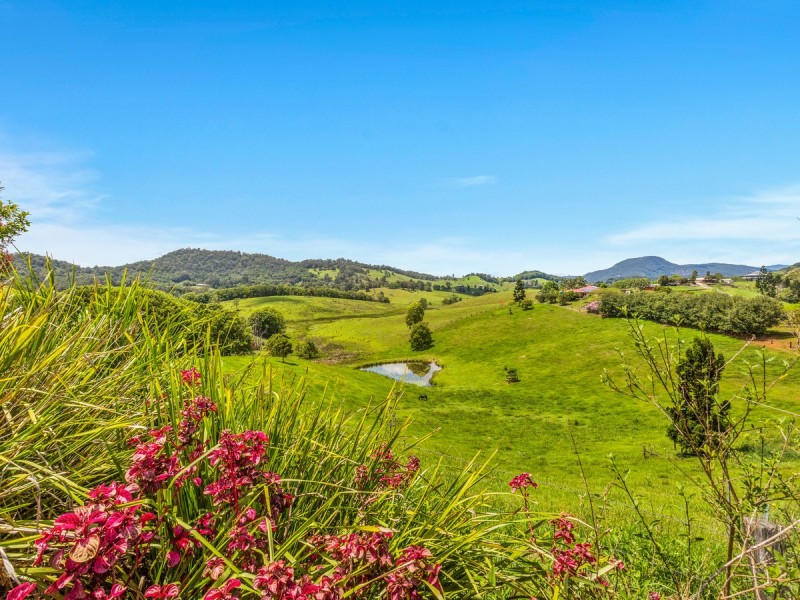 48 Booyong Place, Nobbys Creek NSW 2484