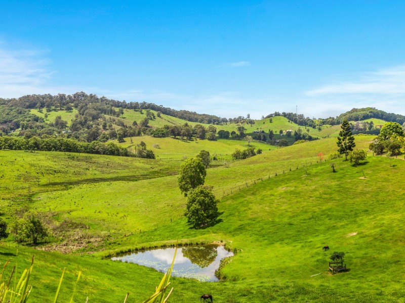 48 Booyong Place, Nobbys Creek NSW 2484