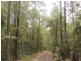 Lot 21, 1283 Byrrill Creek Road, Tyalgum NSW 2484
