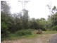 Lot 21, 1283 Byrrill Creek Road, Tyalgum NSW 2484