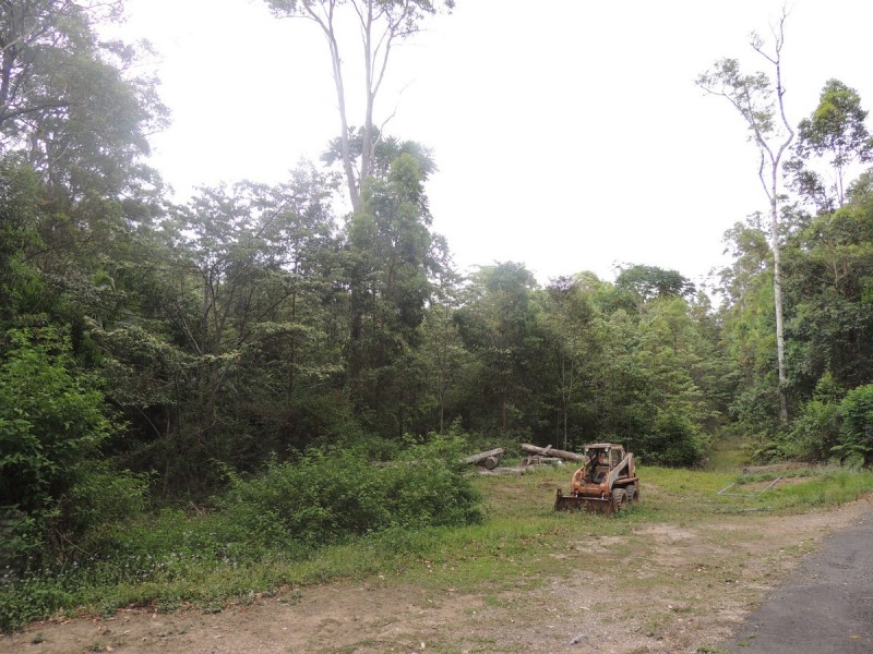 Lot 21, 1283 Byrrill Creek Road, Tyalgum NSW 2484