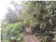 Lot 21, 1283 Byrrill Creek Road, Tyalgum NSW 2484
