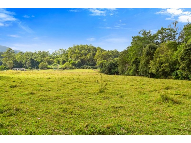 1799 Numinbah Road, Numinbah NSW 2484
