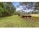 1799 Numinbah Road, Numinbah NSW 2484