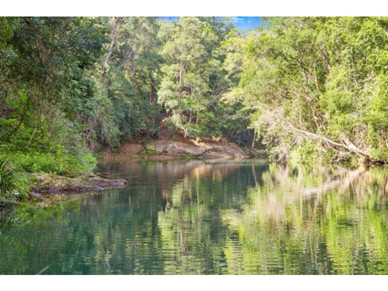 1799 Numinbah Road, Numinbah NSW 2484