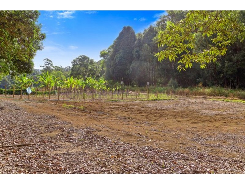1799 Numinbah Road, Numinbah NSW 2484