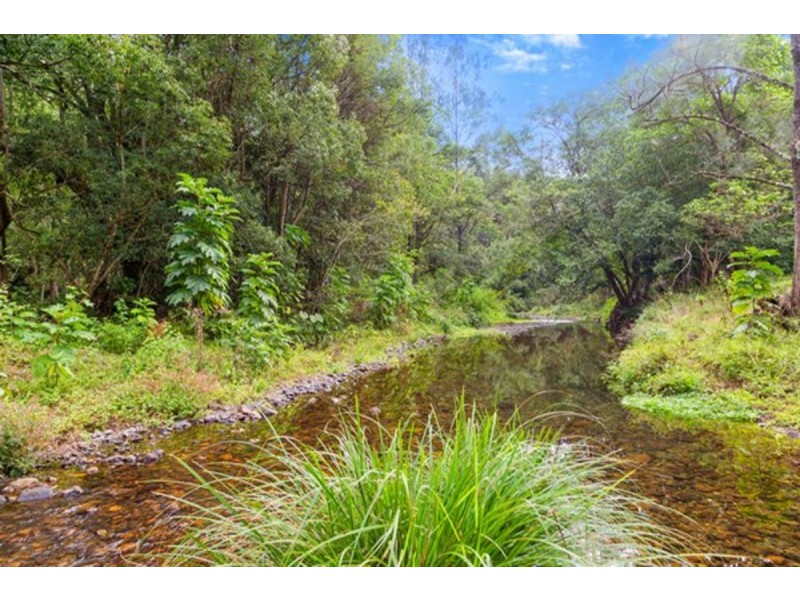 1799 Numinbah Road, Numinbah NSW 2484