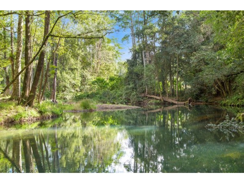 1799 Numinbah Road, Numinbah NSW 2484