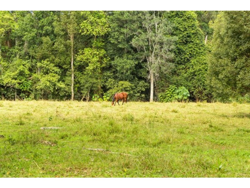 1799 Numinbah Road, Numinbah NSW 2484