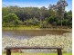 157 Tunnel Road, Stokers Siding NSW 2484