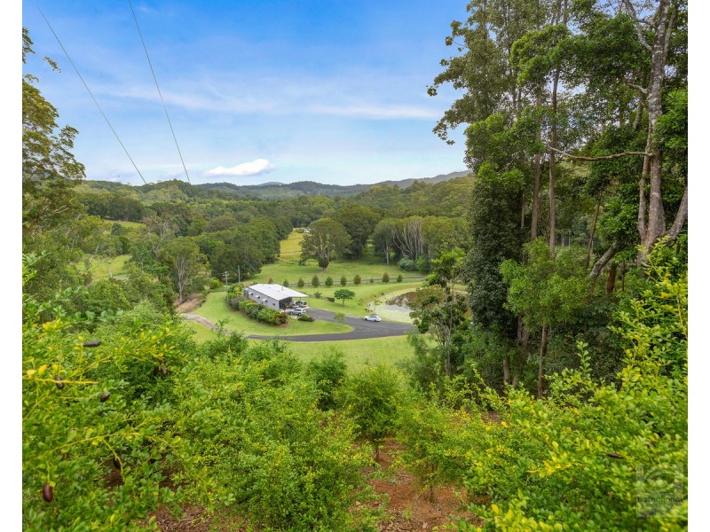 157 Tunnel Road, Stokers Siding NSW 2484