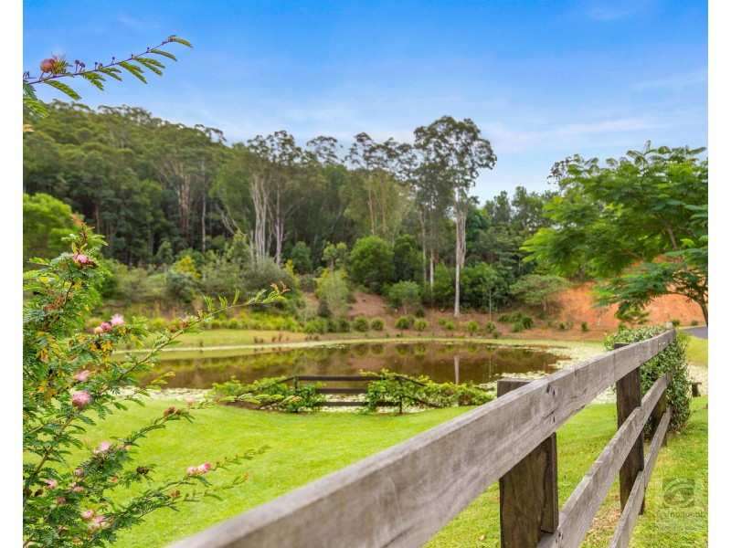 157 Tunnel Road, Stokers Siding NSW 2484