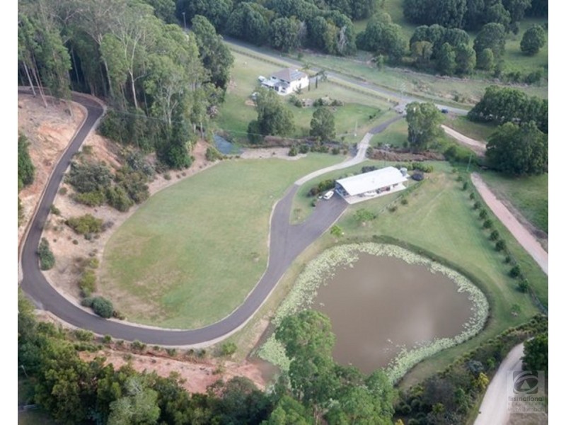 157 Tunnel Road, Stokers Siding NSW 2484