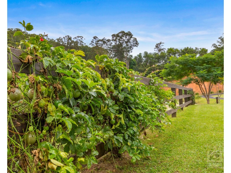 157 Tunnel Road, Stokers Siding NSW 2484