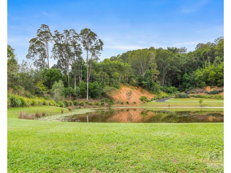 157 Tunnel Road, Stokers Siding NSW 2484