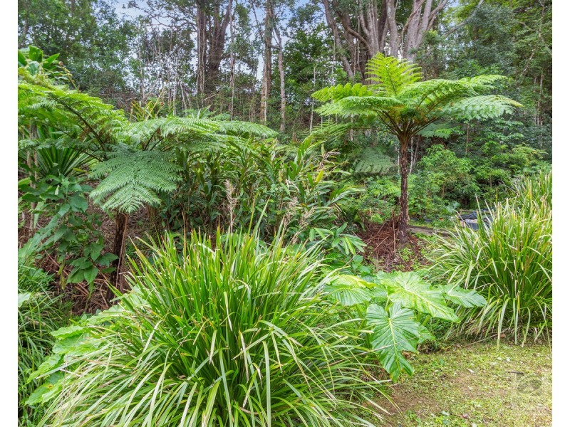 157 Tunnel Road, Stokers Siding NSW 2484