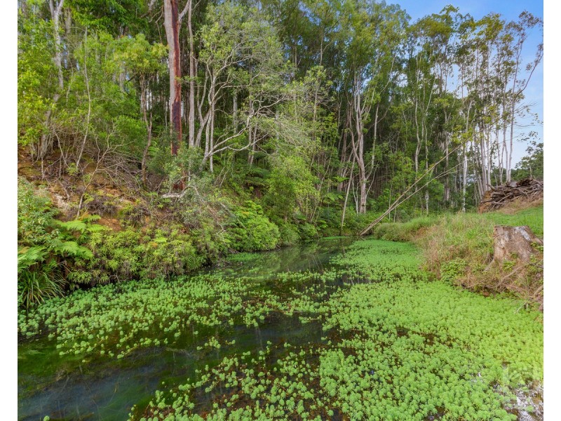 157 Tunnel Road, Stokers Siding NSW 2484