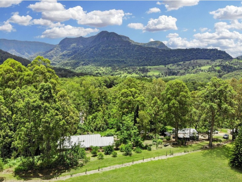 473 Hopkins Creek Road, Hopkins Creek NSW 2484
