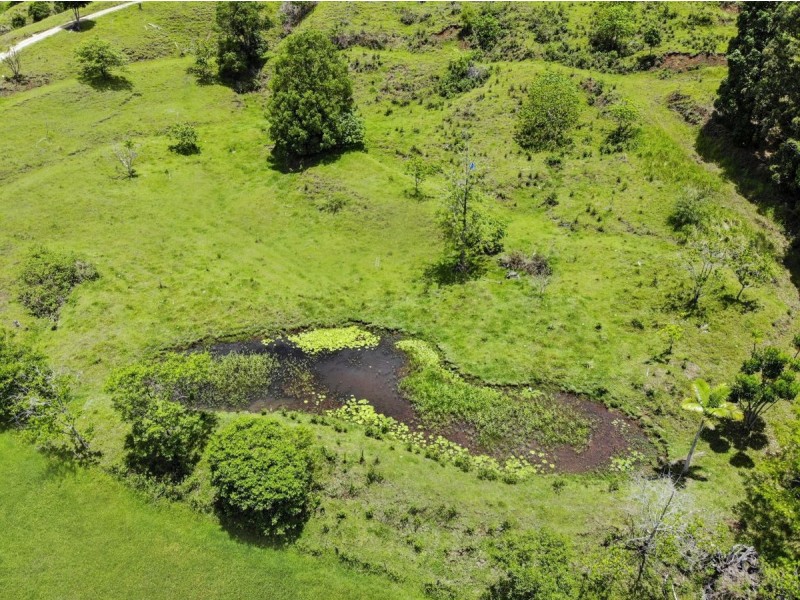 473 Hopkins Creek Road, Hopkins Creek NSW 2484