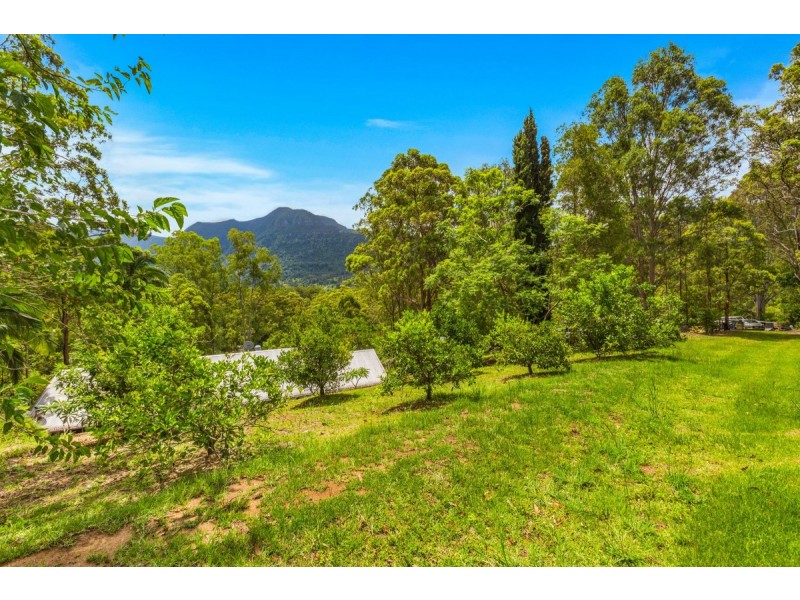473 Hopkins Creek Road, Hopkins Creek NSW 2484