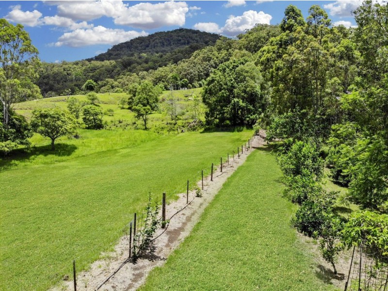 473 Hopkins Creek Road, Hopkins Creek NSW 2484