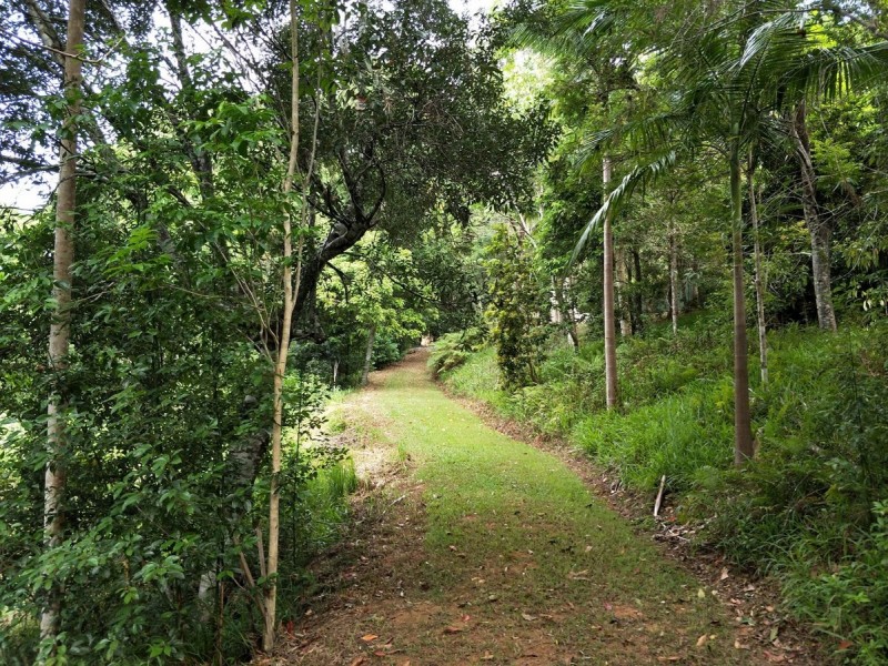 23 Bonnydoon Road, Uki NSW 2484